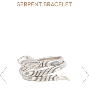 Silver snake bracelet - Gas bijoux.